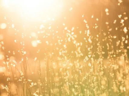 Sunlight  Meditation: Praise To The Light Of The Sun