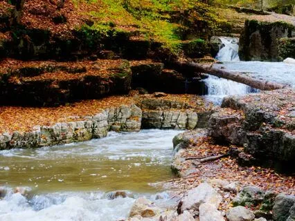 Sunlit Awakening | Morning Music