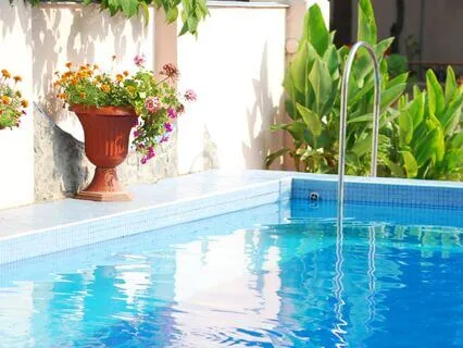 Sunlit Garden Pool Relaxing Ambient