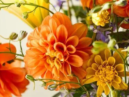 Sunlit Path — gentle saxophone for deep relaxation