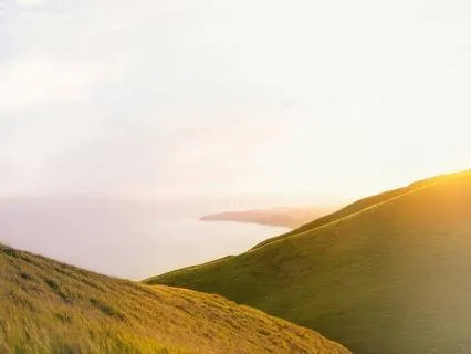 Sunny Flowery - Orchestra