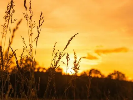 Sunray Zaphir Chime (Long Version)