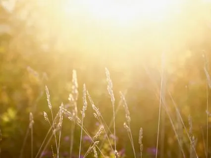 Sunray Zaphir Chime (Short Version)