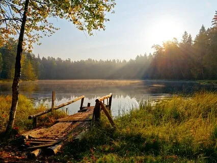 Sunrays | Meditative Ambient Music