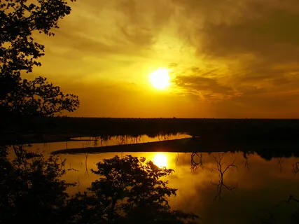Sunrise At Mopani Camp