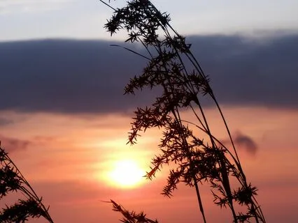 Sunrise Body Scan Mindful Meditation