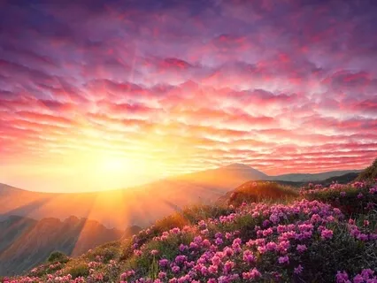 Sunrise Gratitude: Welcoming A New Day