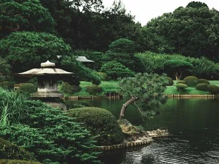 Sunrise In The Garden