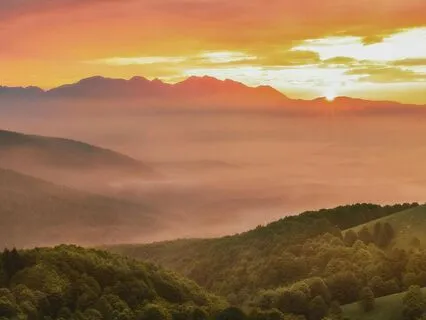 Sunrise In The Meadow