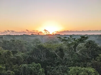 Sunrise In The Tulum Jungle