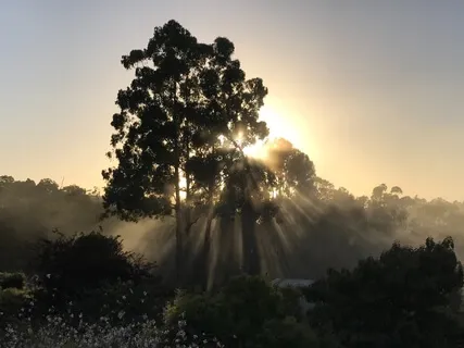 Sunrise Meditation
