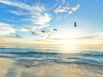 Sunrise Practice To Vitalize Our Mind, Body And Spirit