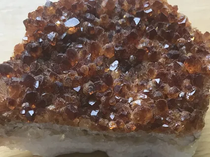 Sunrise Metta Meditation