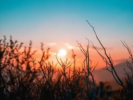 Sunrise Morning meditation for Joy and Ease