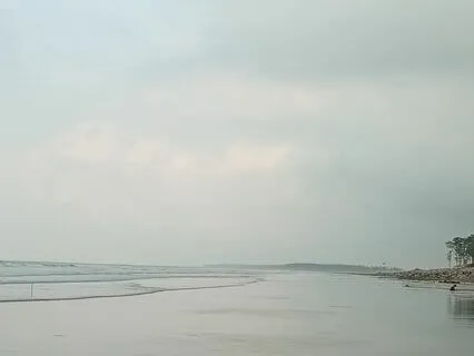 Sunrise Rhythms: Sarod Expressions