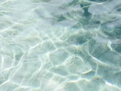 Sunrise Serenity: A Morning Meditation