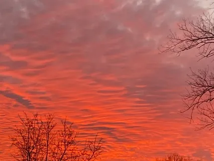 Sunrise Serenity:  Calm And Renewal