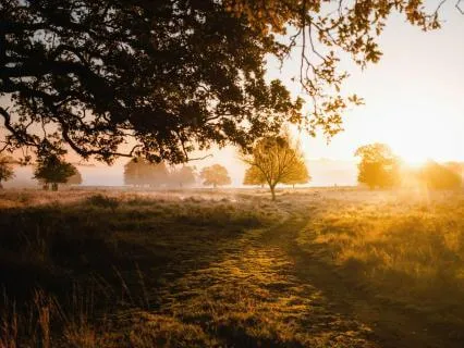 Sunrise Series - Gentle Wakeup - Morning Music