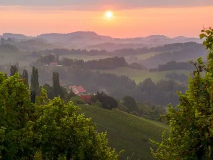 Sunrise with Birdsong - Morning Music