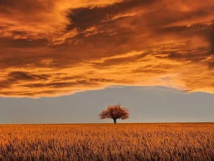 Sunset Clouds - Feeling Grateful