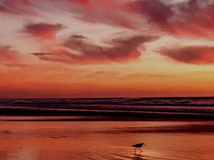 Sunset Handpan Flow – Let Go & Unwind