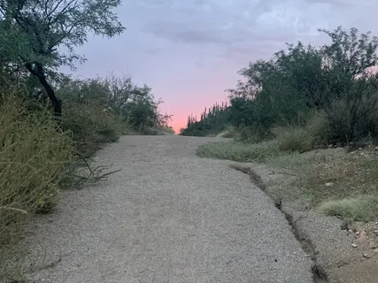 Sunset On Desert Path 