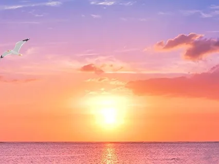 Sunset Radiance: Gratitude And Renewal