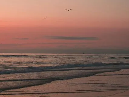 Sunset - Uplifting Ambient Soundscape