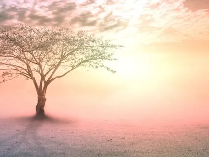 Sunshine Healing | Healing