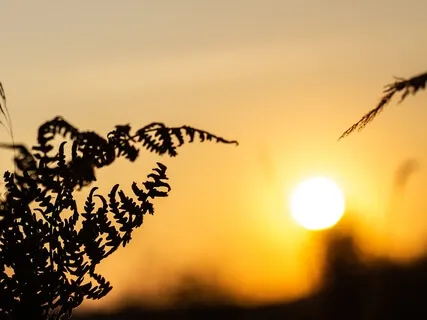 Sunshine Meditation | Mudra + Breath
