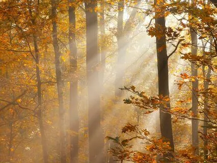 Sun-Worship Of The Ancients