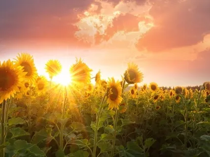 Super Charge Your Solar Chakra