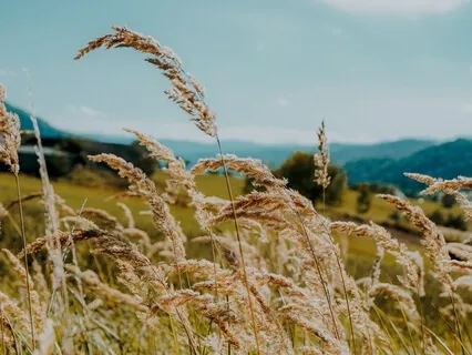 Super Fast Ridding Stresses