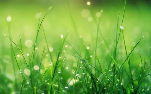 Super Positive Energy For Your Home 777Hz