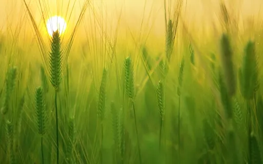 Super Positive Energy Frequency Music 888Hz