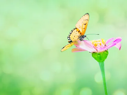 Super Quick Coronavirus Clearing Practice: Using Angelic Frequencies To Shield And Protect