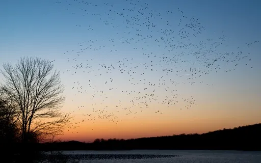 Super Quick Check In