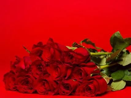 Super Quick Crystal-Rose Shield Meditation: Neutralising Negative Energetic Projection.