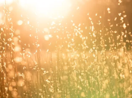 Super Quick (Interdimensional) Golden Dragon Meditation