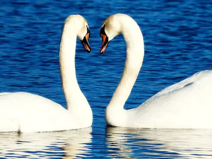 Super Quick Mirror Of Judgement Meditation