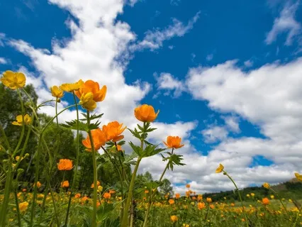 Super Quick Morning Success And Abundance Affirmations