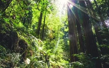 Super Simple Walking Meditation You Can Use Anywhere