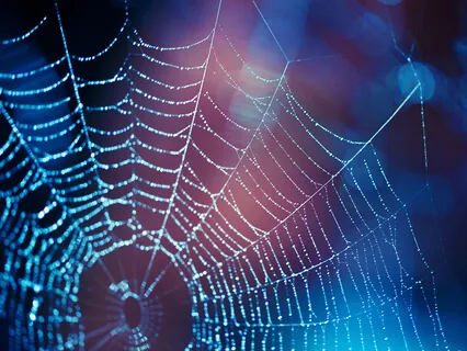 Superhero Meditation 3 - Spiderman