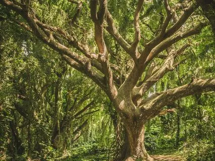 Superhero Stillness: A Confidence Boost Meditation (3 Min)