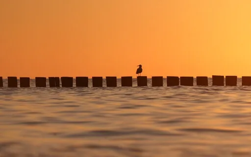 SuperSleep - Acoustic Sleep Medication