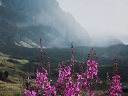 Супер Настрой на Успешный День