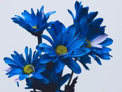 Support For Caregiver Stress