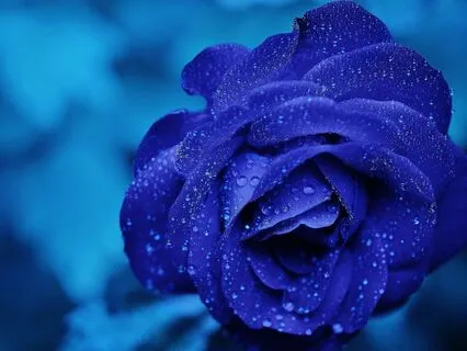 Support for Difficult Emotions