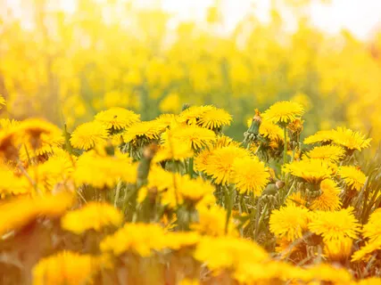 Support, Hope & Inspiration