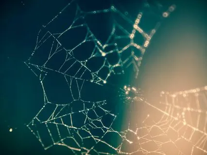 Support Network Guided Visualization